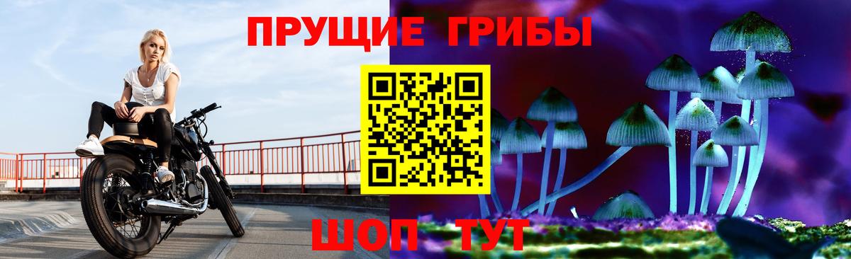 Пенза  Псилоцибиновые грибы MAGIC MUSHROOMS  Вход с VPN 